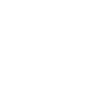 noun_704