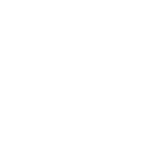 stern-icon